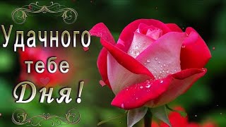 ДОБРЫЙ ДЕНЬ! ДОБРОГО ДНЯ🌷 ЖИВЫЕ ОТКРЫТКИ