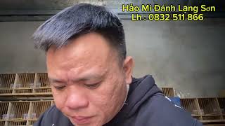 ✅1/12 : Mộc Mắt Thiên Lam Thanh Vs Mái Mộc Tố Chất Tốt