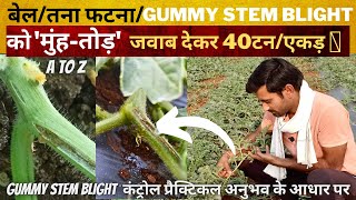 Gummy stem blight control🧐| बेल/तना फटने/गोंद निकालना तुरंत रोके | 100%practical solution |#cucurbit