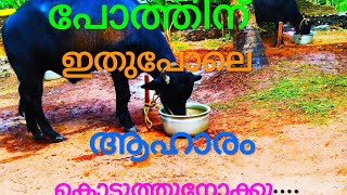 പോത്തിന് ഇതുപോലെ ആഹാരം കൊടുത്ത് നോക്കൂ..... / buffelo food Kerala poth valarthal