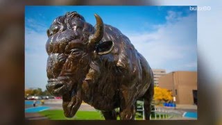 University Accidentally Sends Out Acceptance Emails to 5000 Students