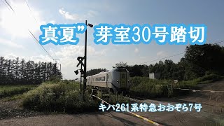 【踏切 根室線】真夏の芽室３０号踏切をキハ261系特急おおぞら7号が通過する。