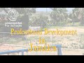 Jamaican teachers' perspective on Lindamood-Bell Professional Development Lindamood-Bell for Schools