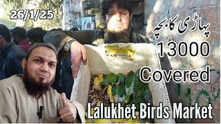 lalukhet sunday birds market 26/1/25| birds rate list 2025 lalukhet birds market 2025|zunair birds