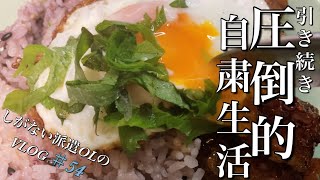 【TOEIC爆上げプロジェクト進行中】派遣在宅勤務OL  Vlog＃54  食べることしか楽しみがない派遣OLの自粛生活【社会人勉強】