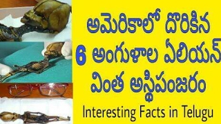 Top 10 Amazing and Unknown Facts in Telugu | Episode - 30 |Telugu Facts | Telugu Badi