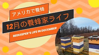 【アメリカで養蜂】12月の養蜂家ライフ/ Beekeeper’s Life in December