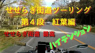 【モトブログ】せせらぎ街道ツーリング 第４段 紅葉編 モンキーとクロスカブでとことこツーリング