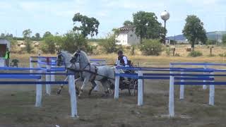 György FEKETE Jr. (HUN) - CAI***, H2, Oşorhei (Roumania), marathon, obstacle Nr. 3, 7.08.2021