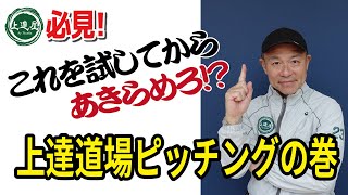 【上達屋】手塚一志の上達道場ピッチングの巻DVD