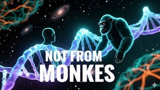 Human evolution;why are monkeys still here.