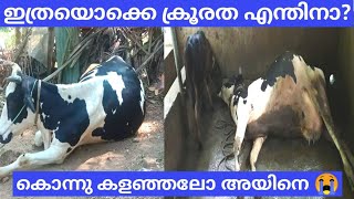 They? Killed Animal എന്തിനാണ് ഇത്ര ക്രൂരത|Aviyal Vlogzz