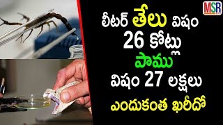 ఒక లీటర్ పాము విషం ఖరీదు 27 లక్షలు అదే తేలు విషమైతే 26 కోట్లు | MSR TV