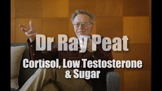 Dr Ray Peat - Cortisol, Low Testosterone, Dangers of a Sugar-less Diet!