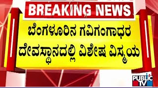 ಬೆಂಗಳೂರಿನ ಗವಿಗಂಗಾಧರ ದೇವಸ್ಥಾನದಲ್ಲಿ ವಿಶೇಷ ವಿಸ್ಮಯ | Gavi Gangadhareshwara Temple | Public TV