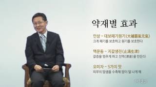 [넷향기] 김용석 교수의 \