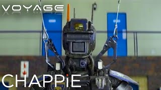 Scout 22 | Chappie | Voyage