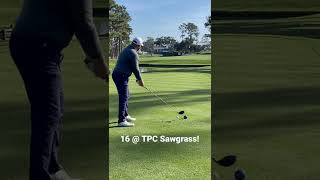 16 at TPC Sawgrass