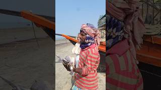 আজকে অদ্ভুত ধরনের সামুদ্রিক মাছ দেখলাম😱Bengali mini vlog #shorts #fishing #minivlog