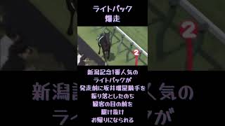 新潟記念1番人気のライトバックが坂井瑠星騎手を振り落としたのち、ご自身でお帰りになられる #競馬 #ライトバック #坂井瑠星 #新潟記念 #放馬