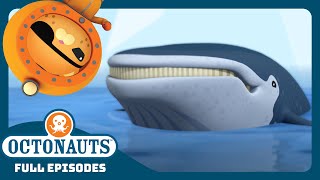 @Octonauts - 🐋 The Humpback Whales 🐋 | Season 3 | Full Episodes | Cartoons for Kids