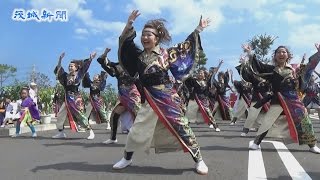 よさこい踊りの祭典「かみす舞っちゃげ祭り」開幕