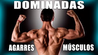 Dominadas: Aprende cómo los diferentes agarres entrenan los músculos utilizados + CONSEJO PRO