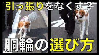 【重要】胴輪の選び方①【犬用ハーネス2種類のメリット・デメリット】