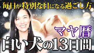 マヤ暦　白い犬の紋章解説と13日間の過ごし方