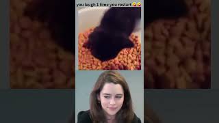 99.8% chance you will laugh watching 🤣😹#funnymoments #duet #funnyvideos #react #reactionvids #laugh