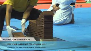 세계태권도한마당 손날격파/Knife hand breaking