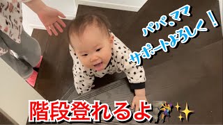 【生後454日目】すごいスピードで階段を上がりだした