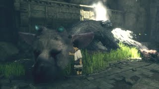 【人喰いの大鷲トリコ】トロコンめざして 1 The Last Guardian Trophy Challenge