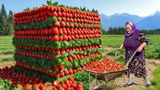 Grandma Makes Lots of Fresh Strawberry Jam and Cake for Winter! Village Life