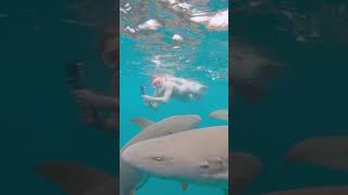 Как меня укусила акула 🦈 #мальдивы#акулы#отдых