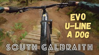 Evolution, Unemployment Line and Atomic Dog on South Galbraith Mtn - Bellingham Washington