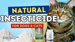 Diatomaceous Earth for Pets: Natural Parasite Control or Just Hype?