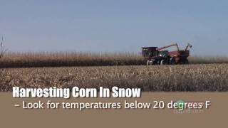 Iron Talk #612-Winter Harvest (From Ag PhD #612 12/27/09)