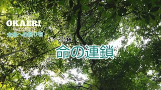 さとやま OKAERIものがたり 未来への贈り物 れべる36 命の連鎖