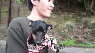 【生田緑地】犬と散歩してみた【ミニチュアピンシャー】