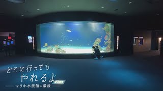 どこに行ってもやれるよ。～マリホ水族館の最後～　スタッフたちの思いと生き物たちの行方を追いかけて