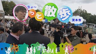 長っと散歩 茨木市 （茨木麦音フェスト編）