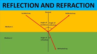 REFLECTION AND REFRACTION | DIFFERENCE BETWEEN REFLECTION AND REFRACTION | SCIENCE EDUCATIONAL VIDEO