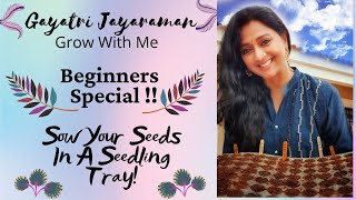 Beginners Special | Brinjal Carrot Beetroot KnolKhol Ladies Finger | GayatriJayaraman Garden tamil |