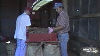 Hurricane Frederic punched the pecan industry in 1979