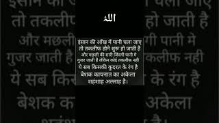 Allah ki kudrat 😯#allah #islamicvideo #islamicstatus