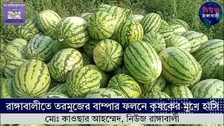 রাঙ্গাবালীতে তরমুজের বাম্পার ফলনে কৃষকের মুখে হাসি #রাঙ্গাবালী #news