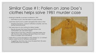 Module 4 Case Study 2