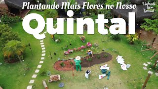 🌷 PLANTANDO MAIS FLORES NO NOSSO QUINTAL