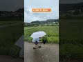 촌캉스 강원도 여행 shorts 시골 주문진 가족여행